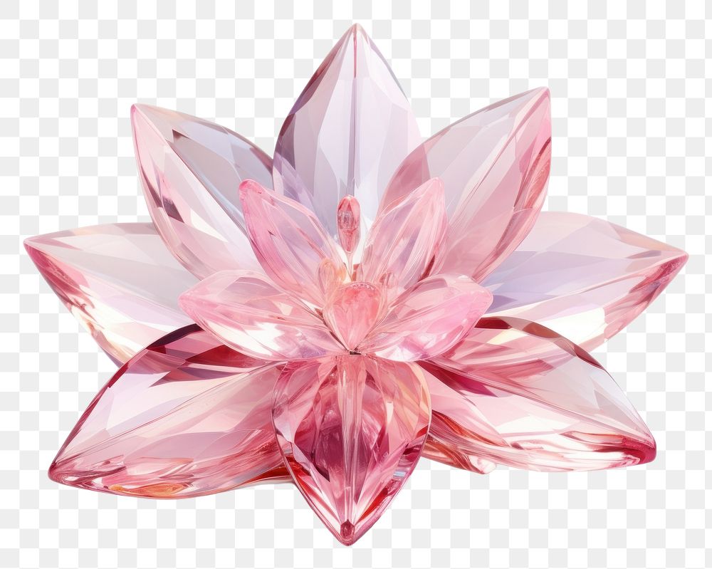 PNG Gemstone crystal jewelry flower.