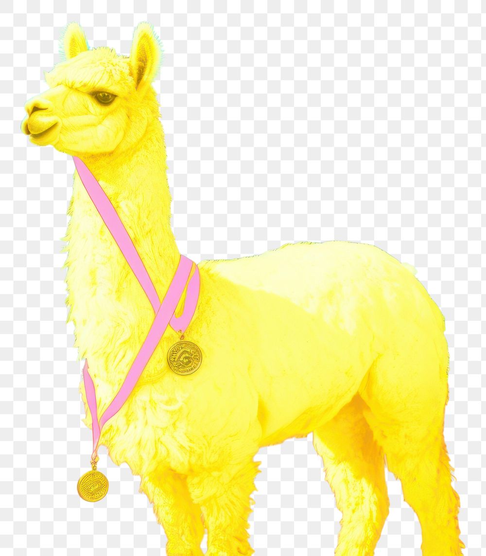 PNG  Alpaca with medals animal mammal llama.