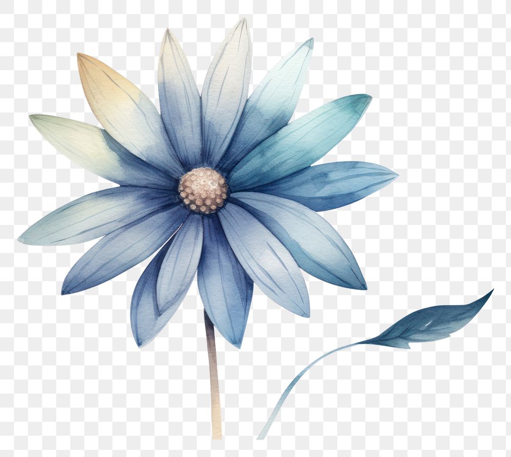 PNG Blue flower drawing plant white background.