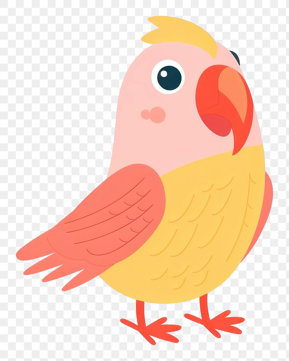 PNG Parrot drawing animal bird.