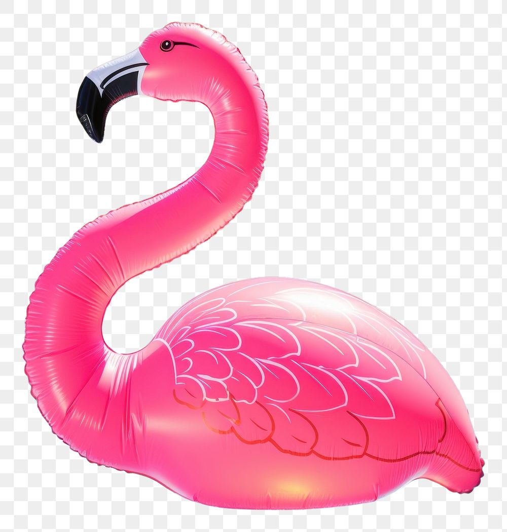PNG Flamingo inflatable pool float pink animal bird wildlife.