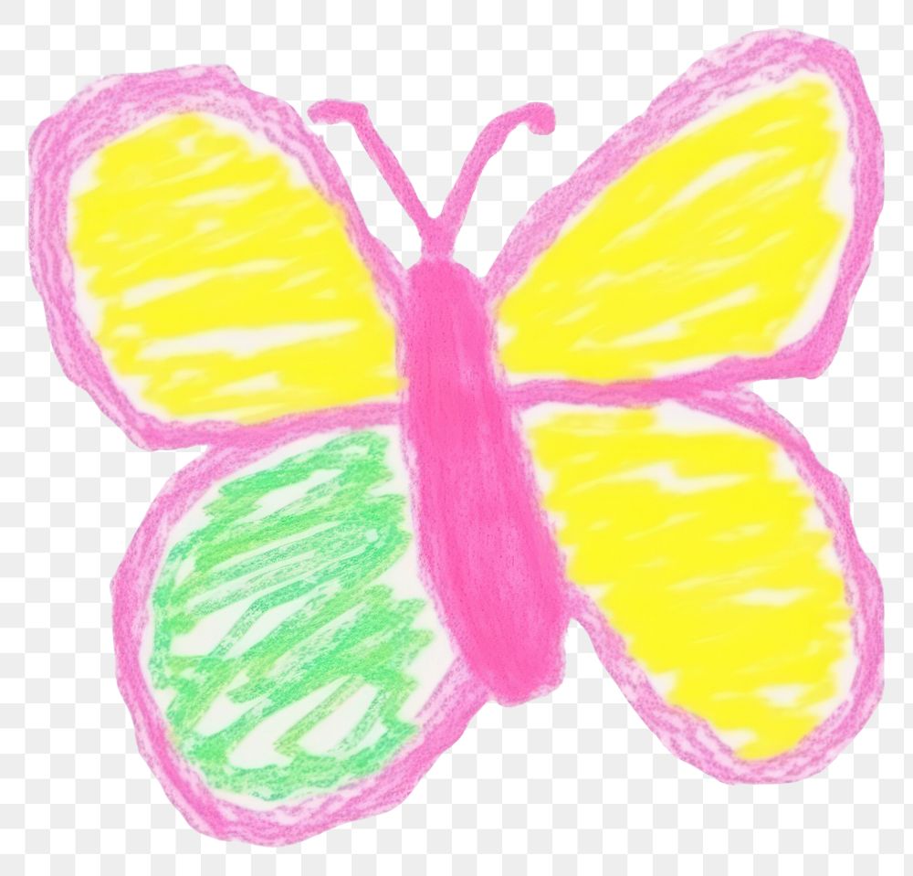 PNG Butterfly pattern drawing sketch.