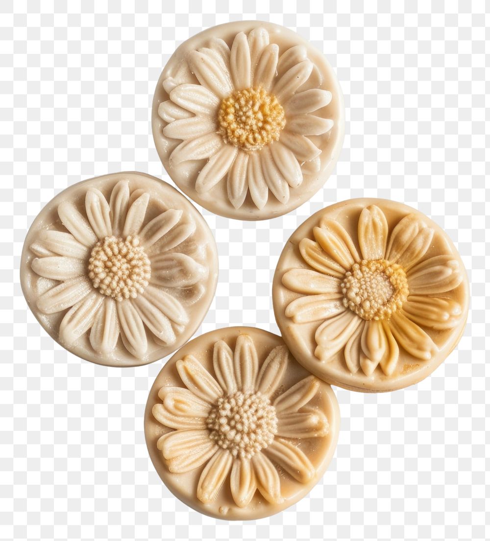 PNG  Seal Wax Stamp daisy flowers accessories ingredient freshness.