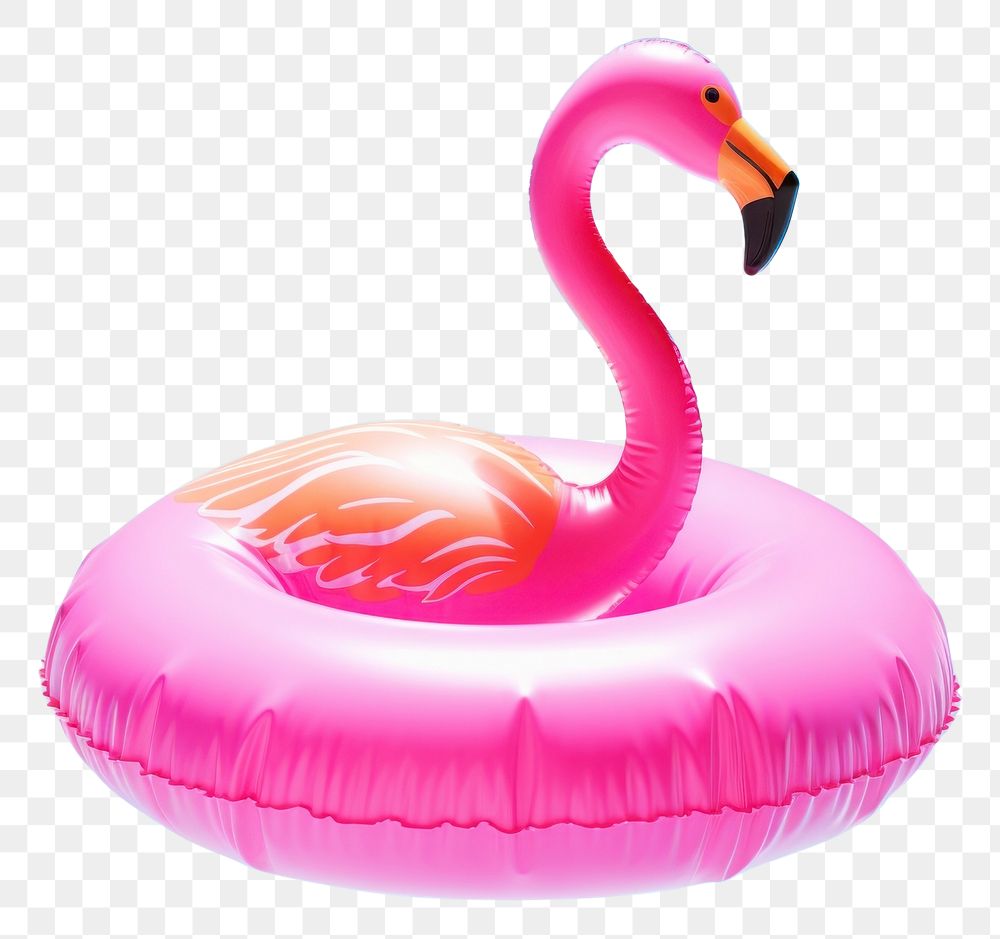 PNG Small inflatable pink flamingo ring float swimming animal bird.