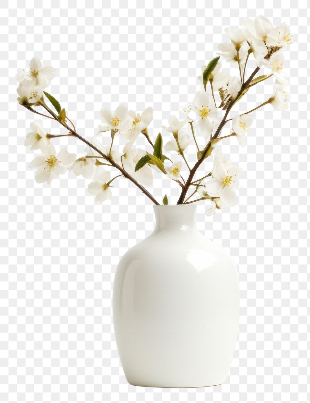 PNG  Flower vase porcelain blossom plant. AI generated Image by rawpixel.