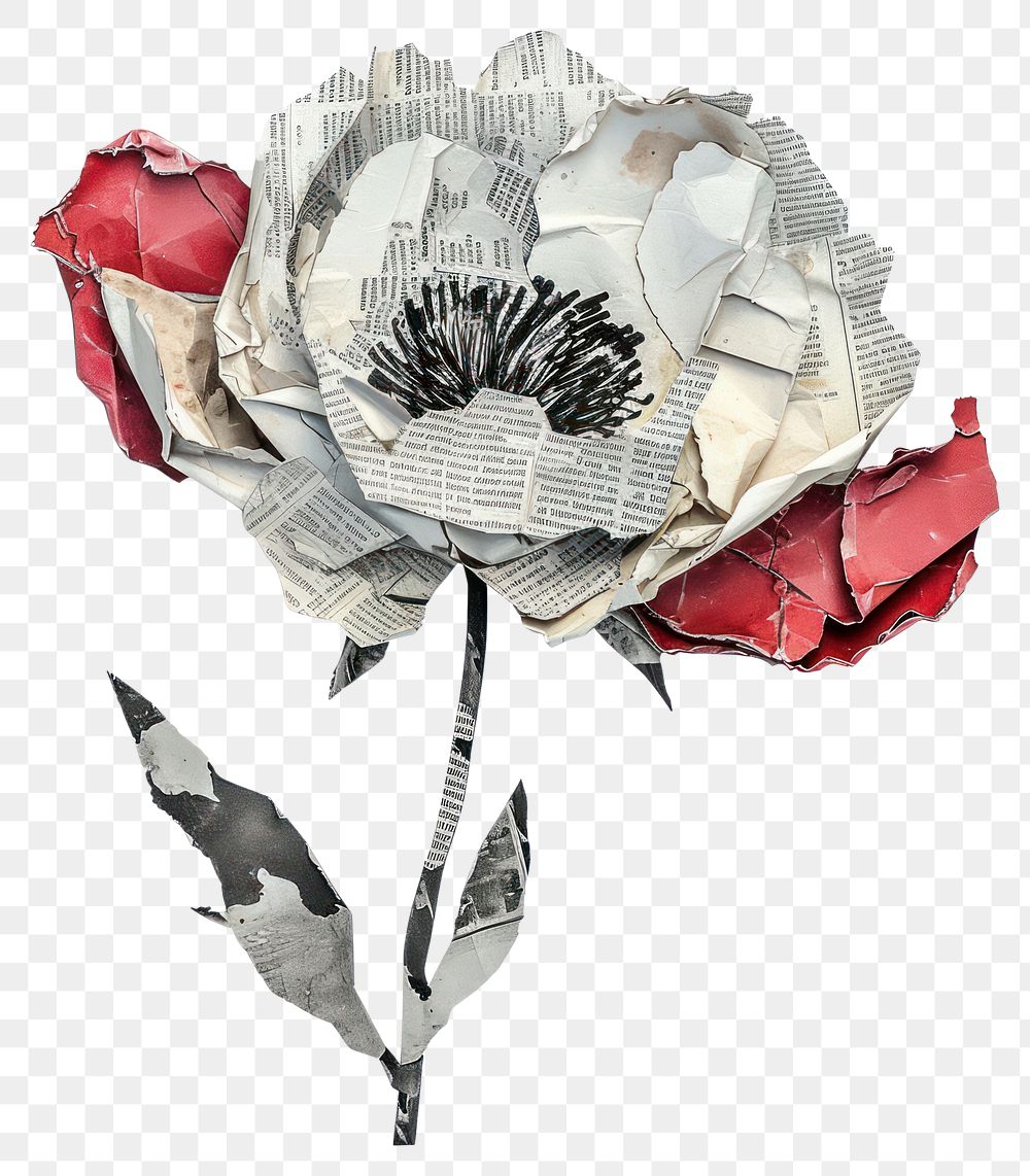 PNG Flower paper collage drawing plant rose.