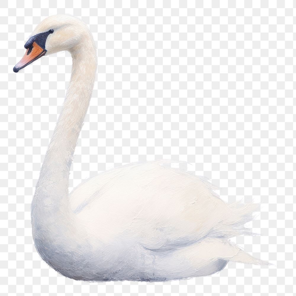 PNG Minimal space white swan painting animal bird