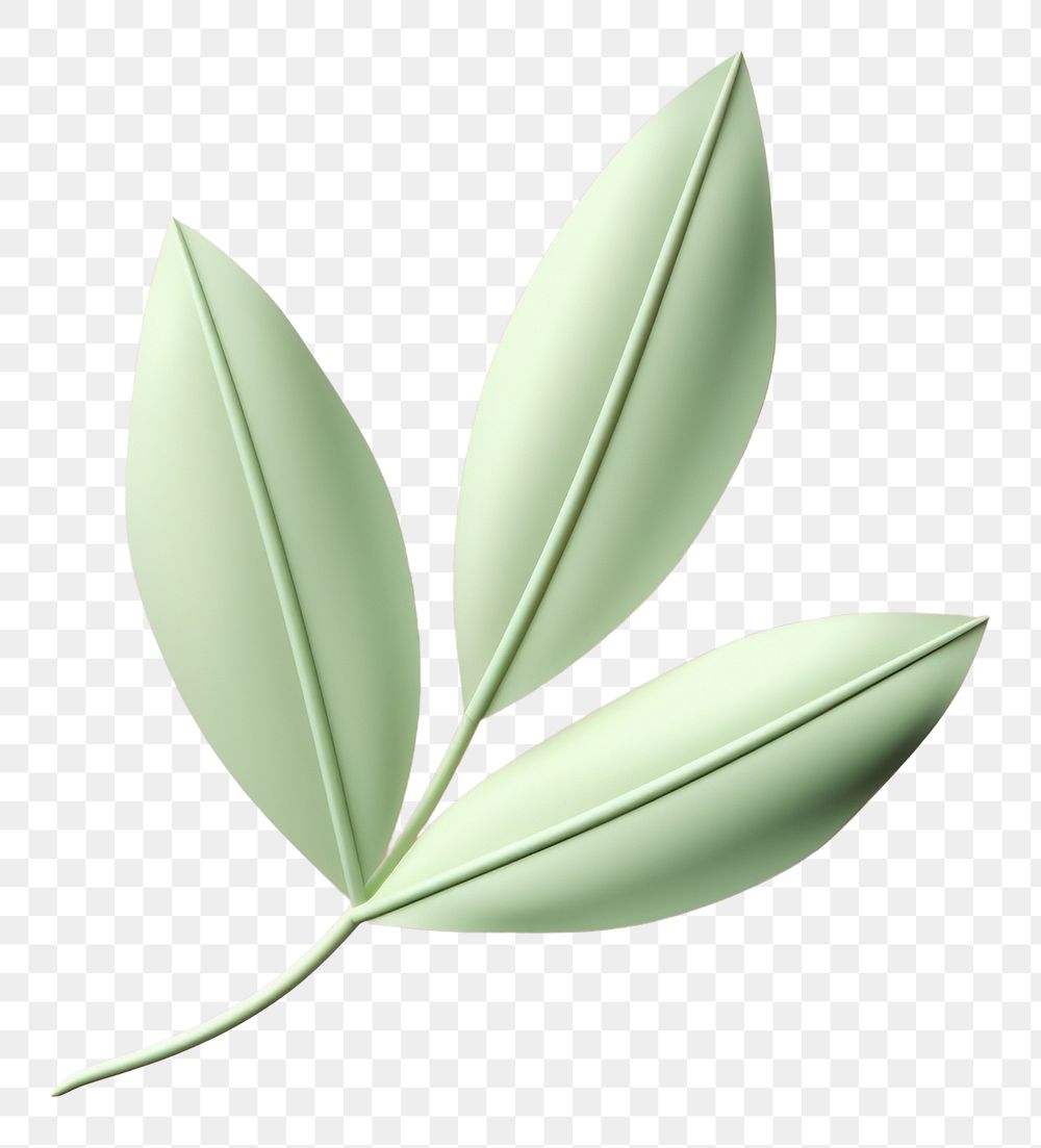 PNG 3d render icon of leaf plant medicine blossom.
