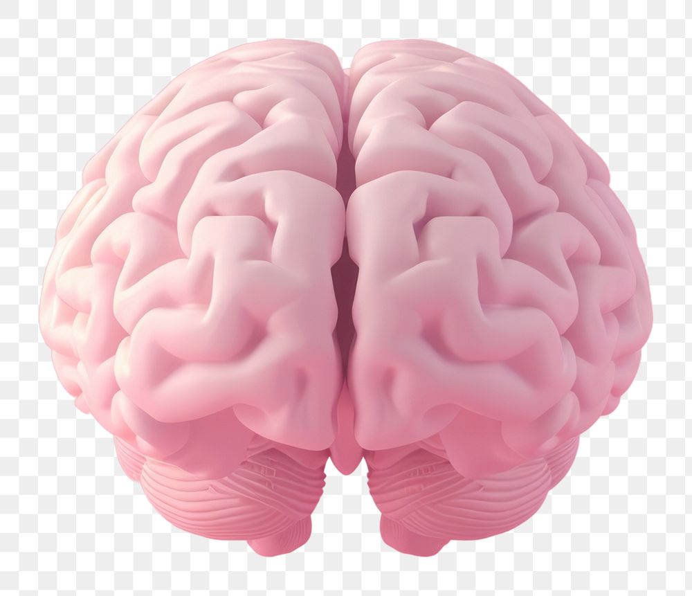 PNG 3d render icon of minimal cute brain nature confectionery outdoors.
