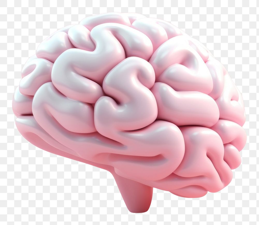 PNG 3d render icon of minimal cute brain investment outdoors medical.