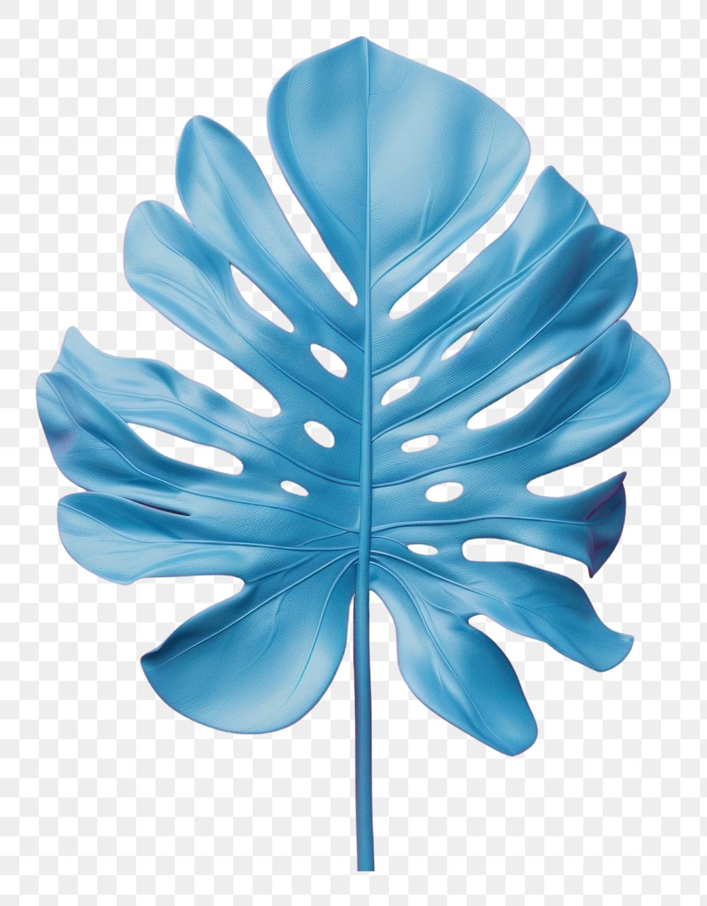 PNG 3d render icon of minimal cute tropical leaf nature plant petal.