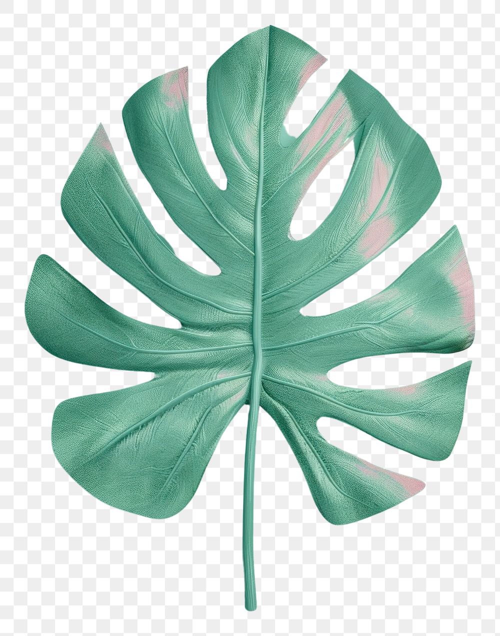 PNG 3d render icon of minimal cute tropical leaf plant accessories handicraft.
