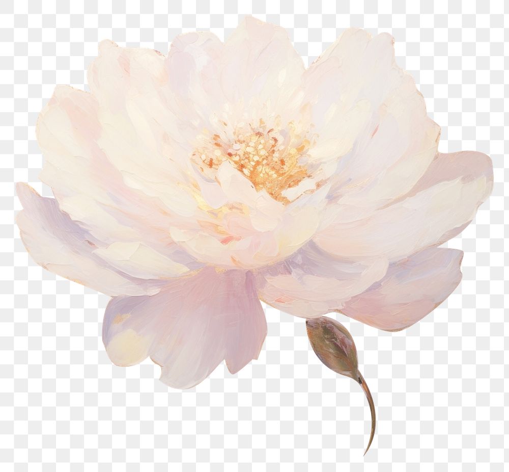 PNG  White rose blossom flower petal. AI generated Image by rawpixel.