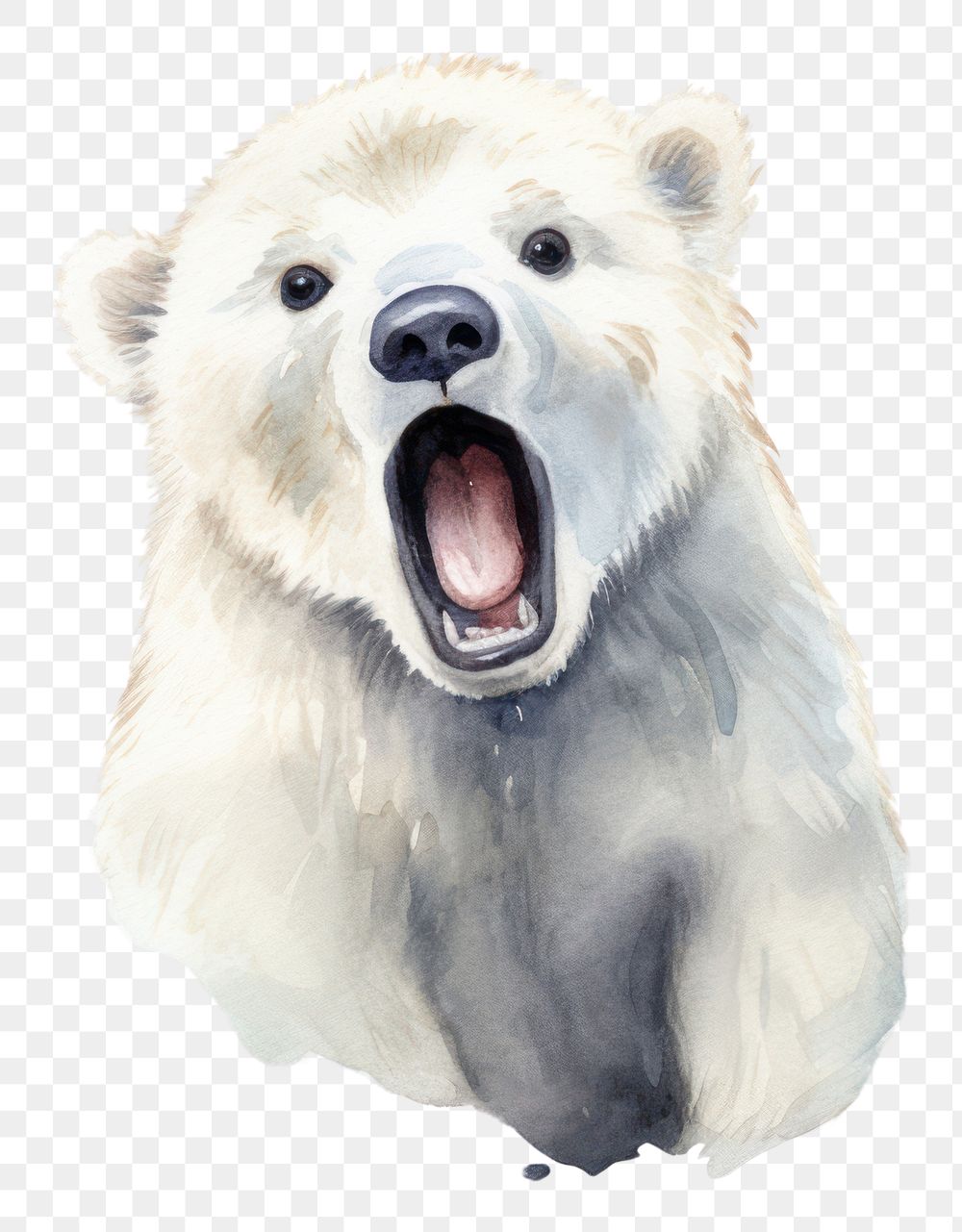 PNG  Polar surprised face expression wildlife mammal animal.