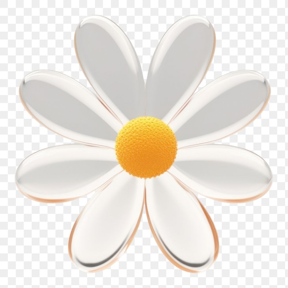 PNG  Daisy flower icon petal plant white.