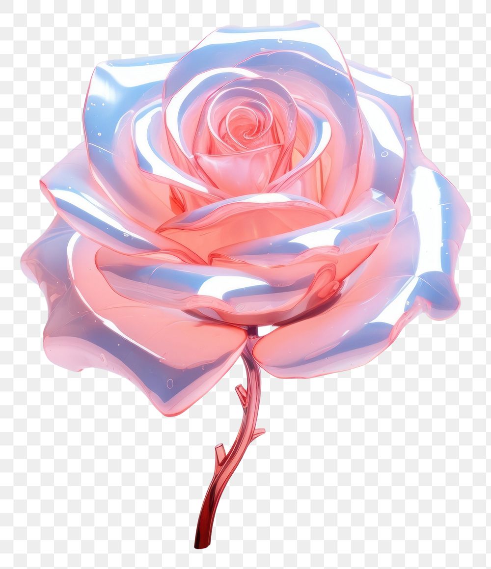 PNG Rose rose flower petal.