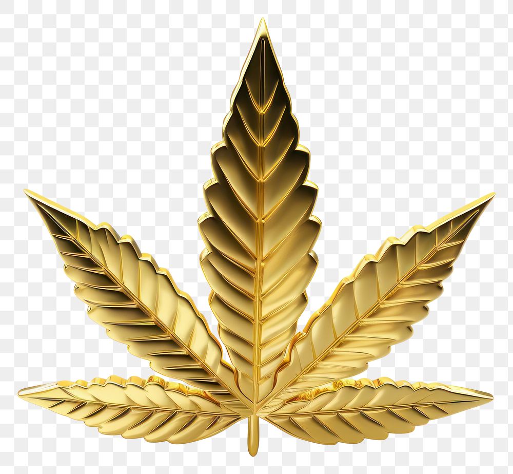 PNG  Cannabis icon gold plant leaf.
