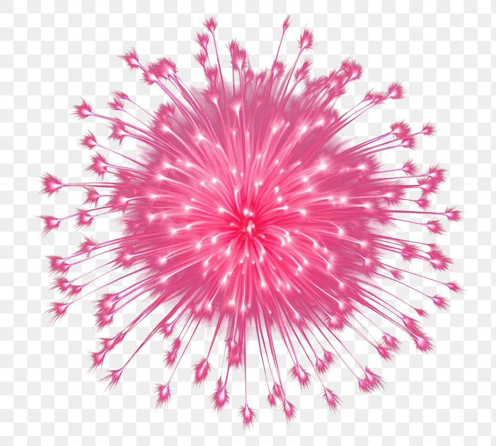 PNG  Pink fireworks exploding in the sky night black background illuminated. AI generated Image by rawpixel.