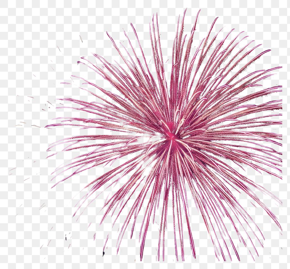 PNG  Fireworks outdoors night pink. AI generated Image by rawpixel.