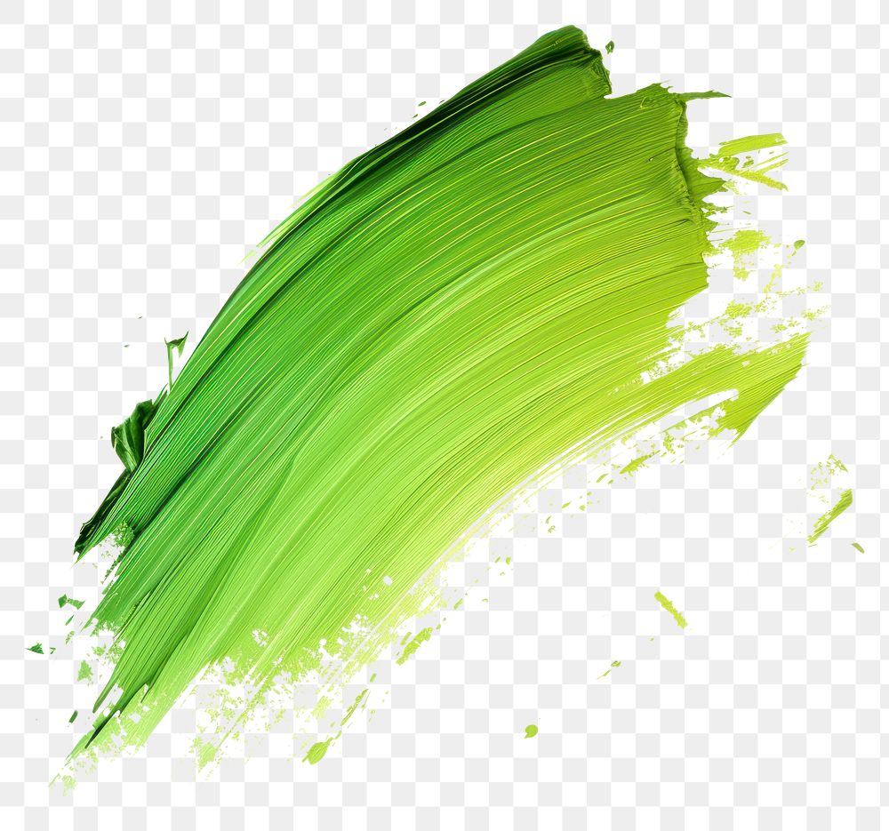 PNG Light green brush stroke | Premium PNG - rawpixel