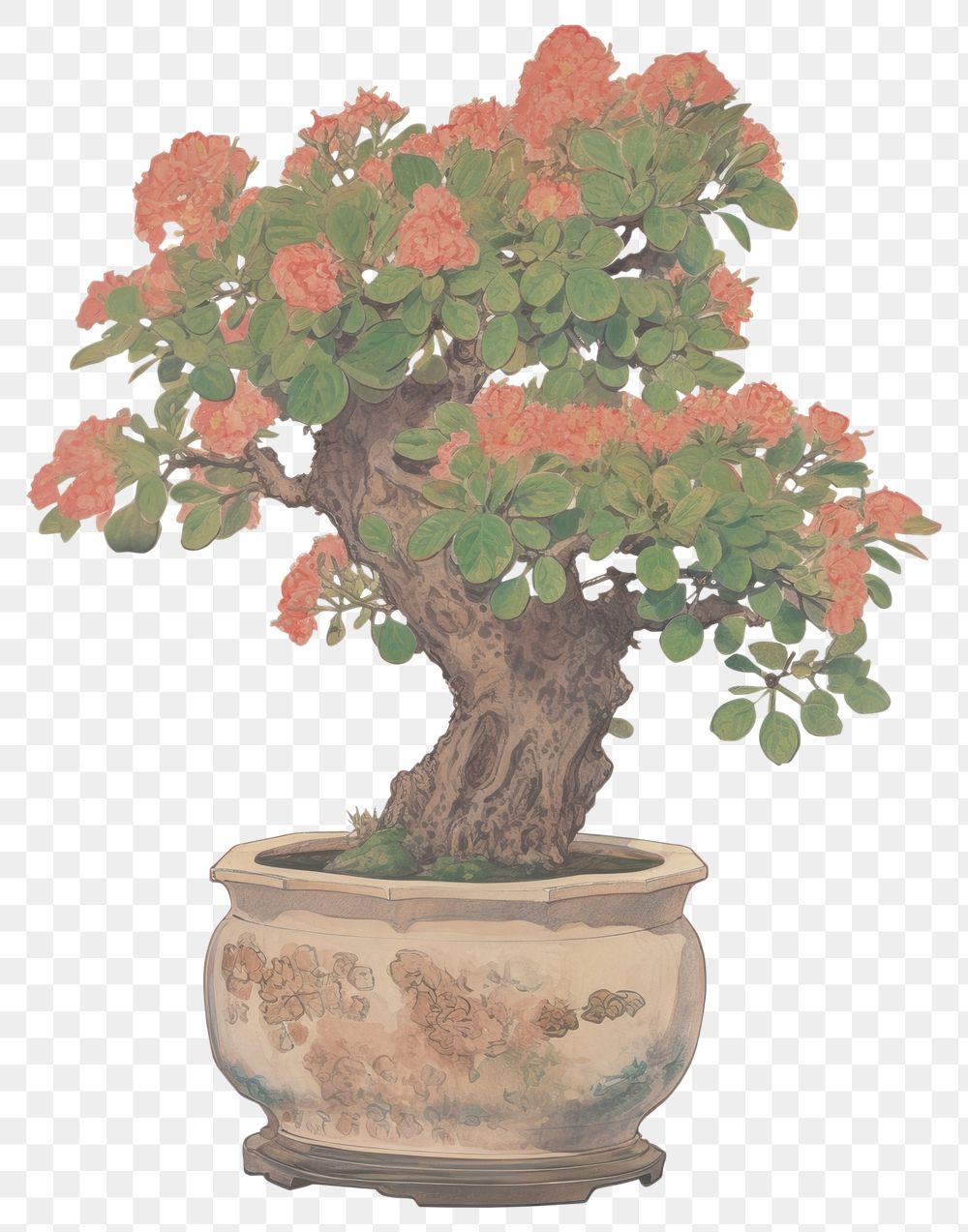 PNG Illustration the 1970s of bonsai flower plant tree.