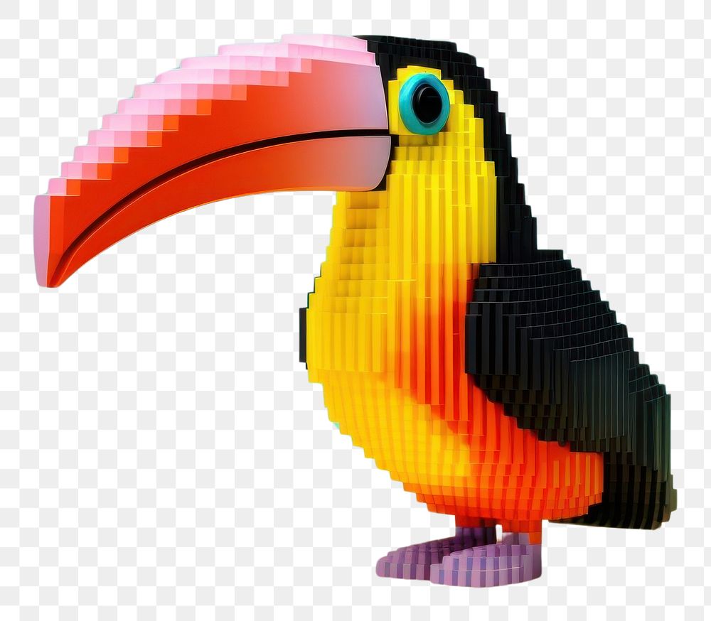 PNG Toucan bird animal beak wildlife. AI generated Image by rawpixel.