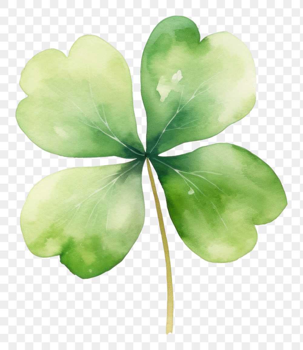 PNG Four leaf clover copy | Free PNG - rawpixel
