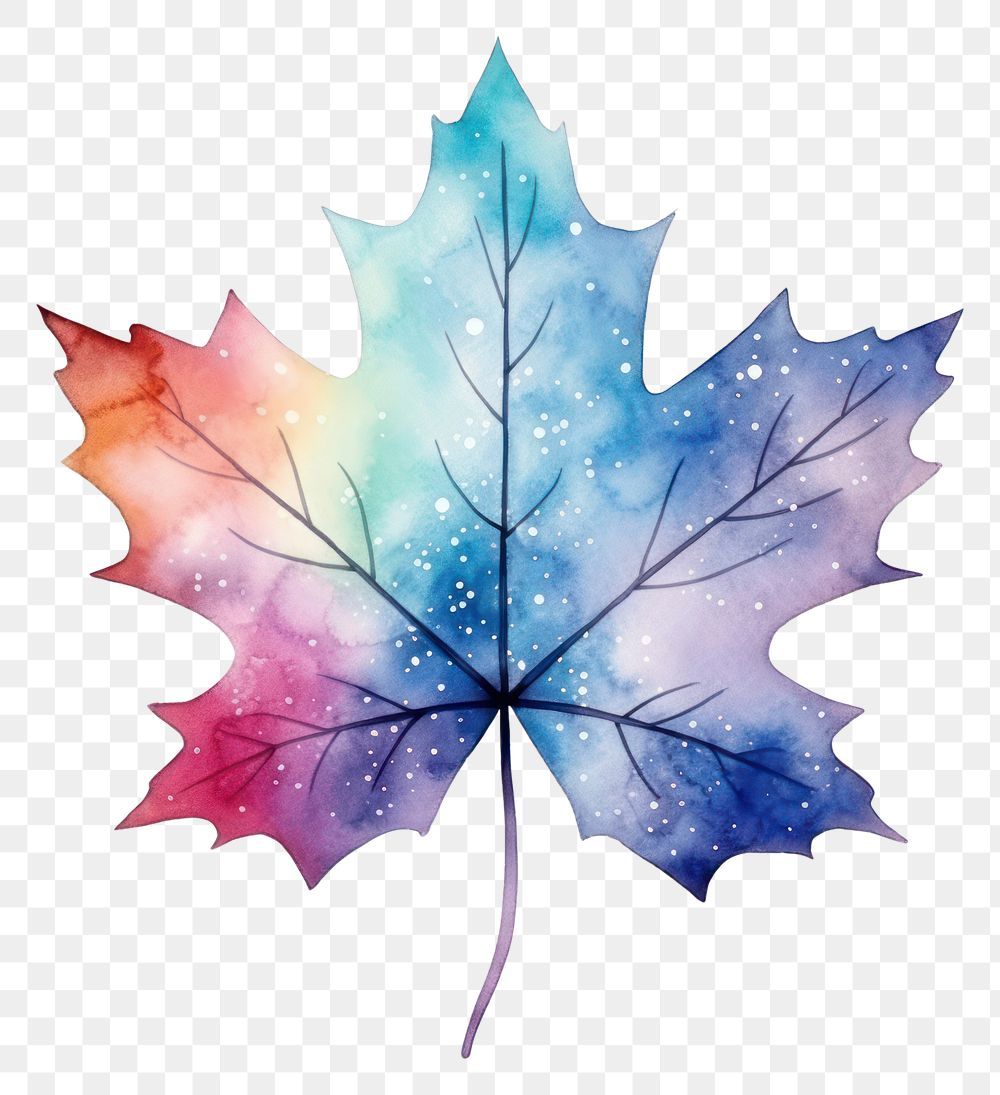 PNG  Mapleleaf in Watercolor style plant tree white background.