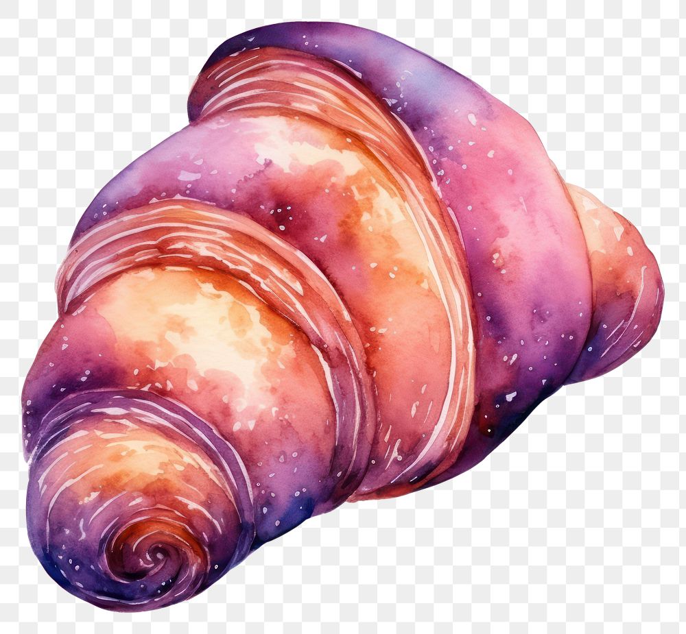 PNG  Croissant in Watercolor style food white background invertebrate.