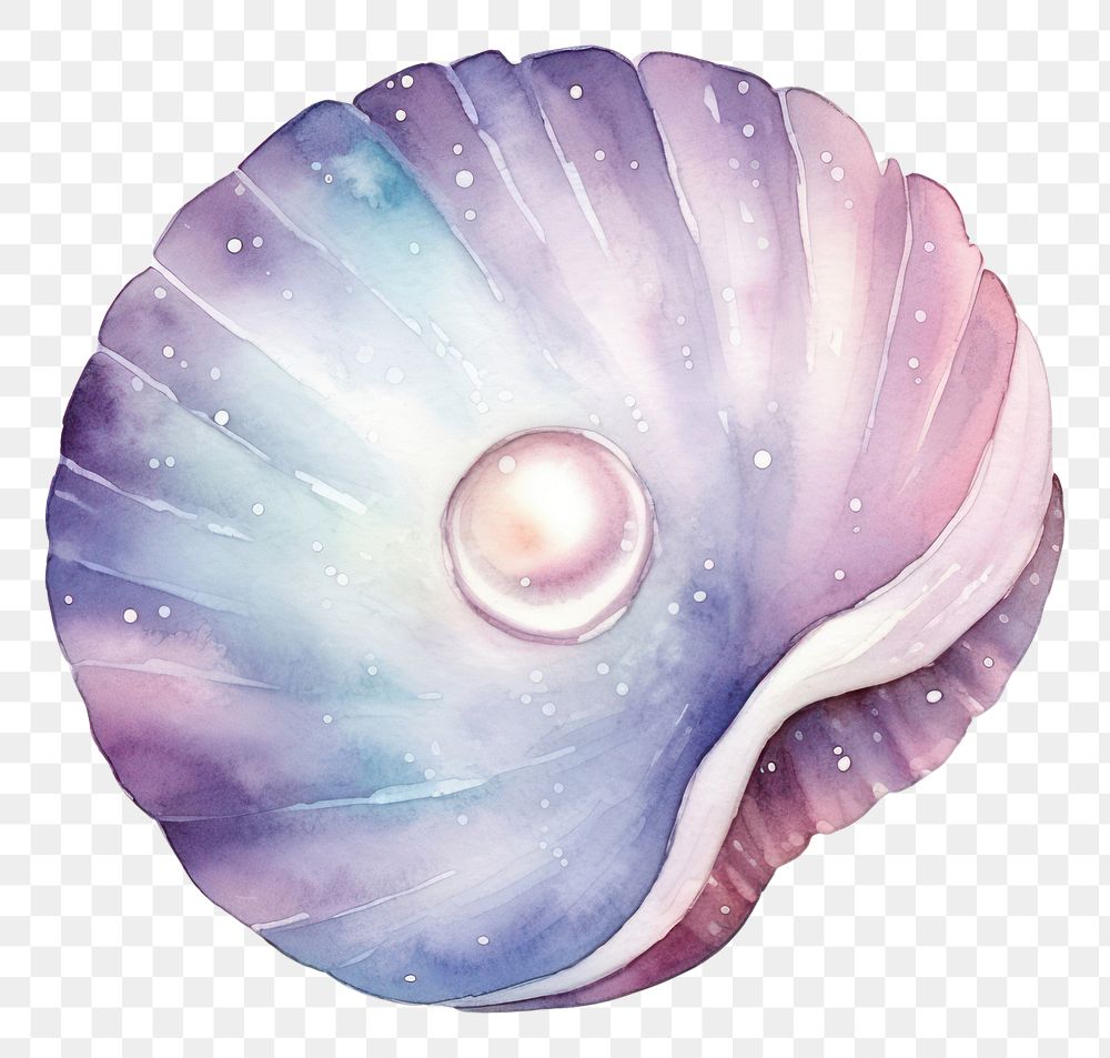 PNG  Pearl shell in Watercolor style seashell white background invertebrate.