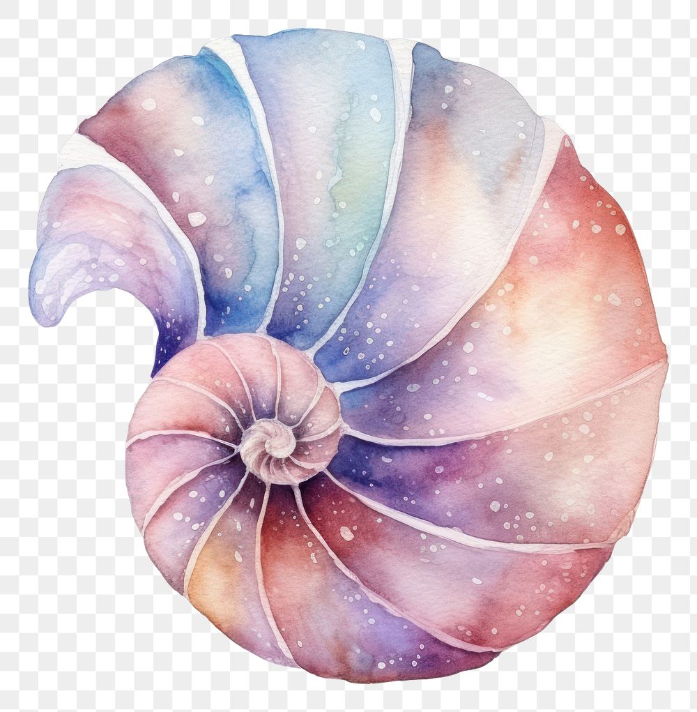 PNG  Shell in Watercolor style white background invertebrate creativity.