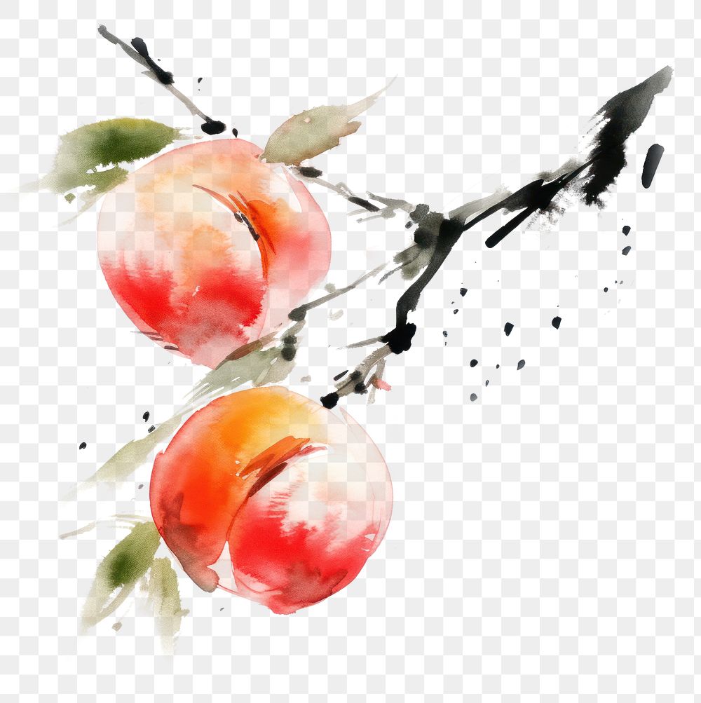 PNG Chinese Peach fruit peach painting plant. AI generated Image by rawpixel.