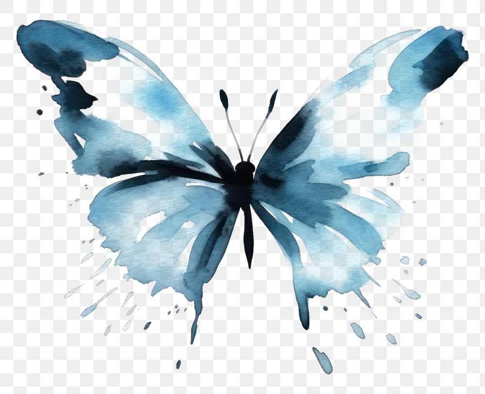 PNG Butterfly butterfly animal insect
