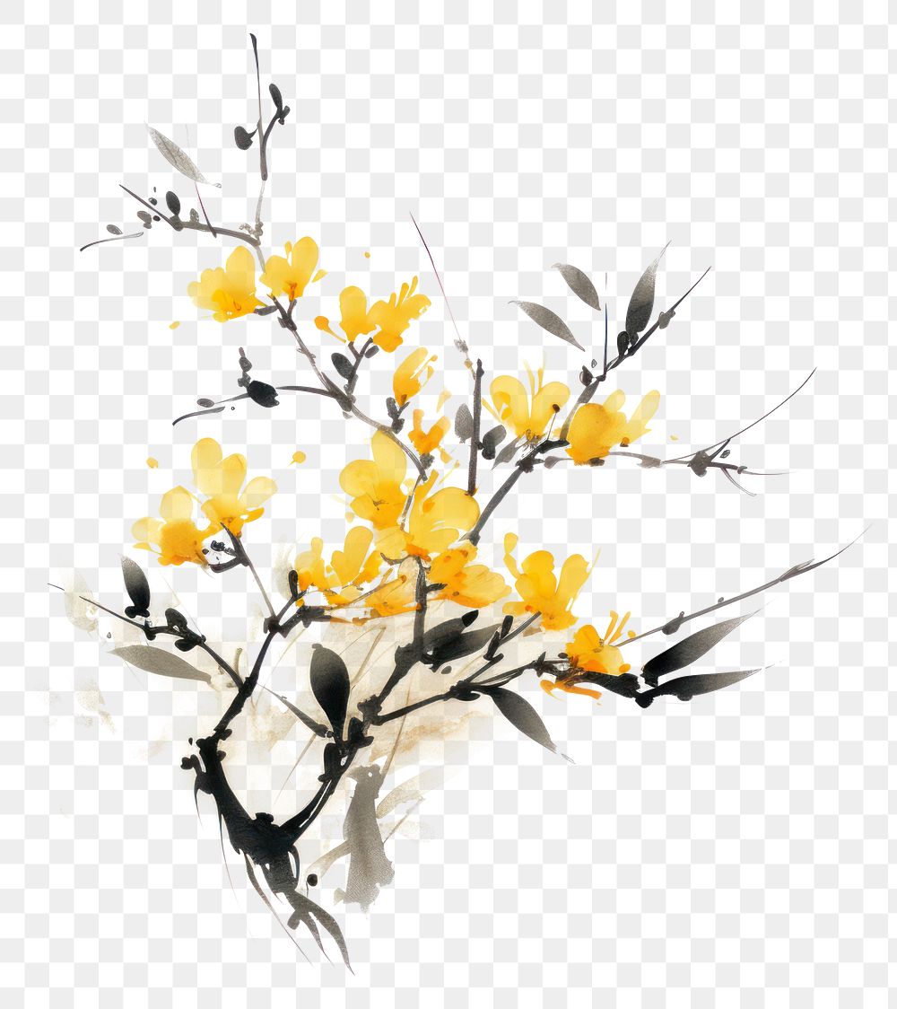 PNG Osmanthus flower painting blossom yellow. AI generated Image by rawpixel.