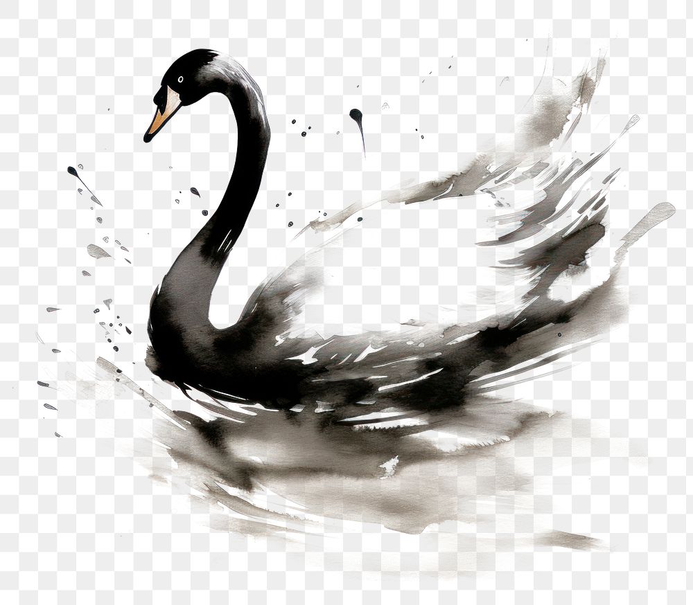 PNG Swan animal nature bird. AI generated Image by rawpixel.