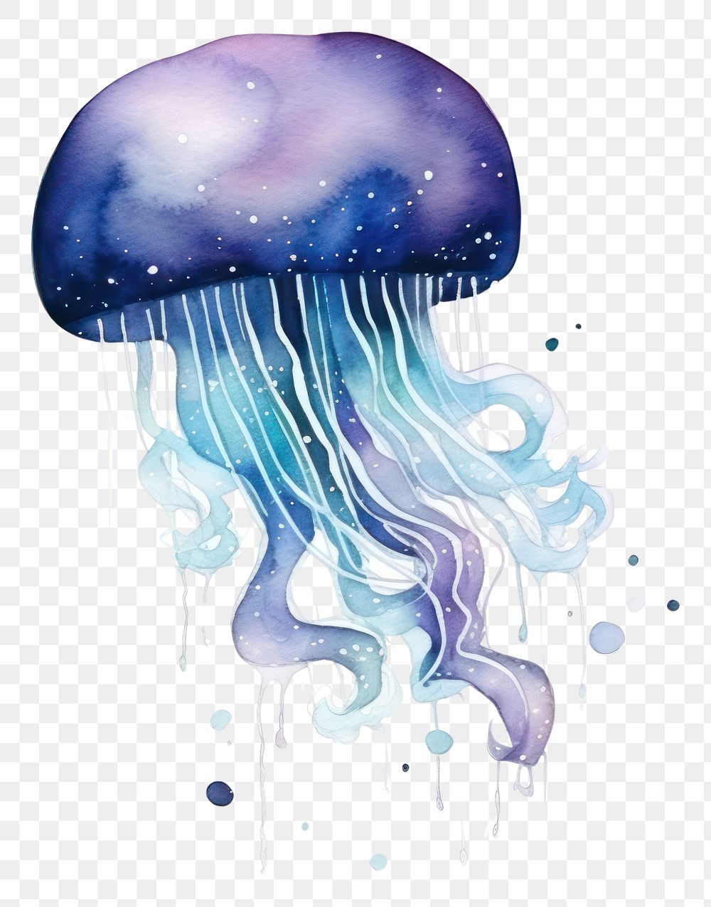 PNG  Galaxy element of jellyfish in Water color illustration style invertebrate underwater cephalopod.