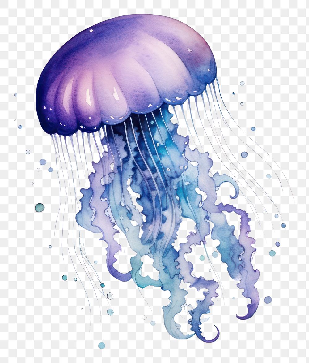 PNG  Galaxy element of jellyfish in Water color style white background invertebrate translucent