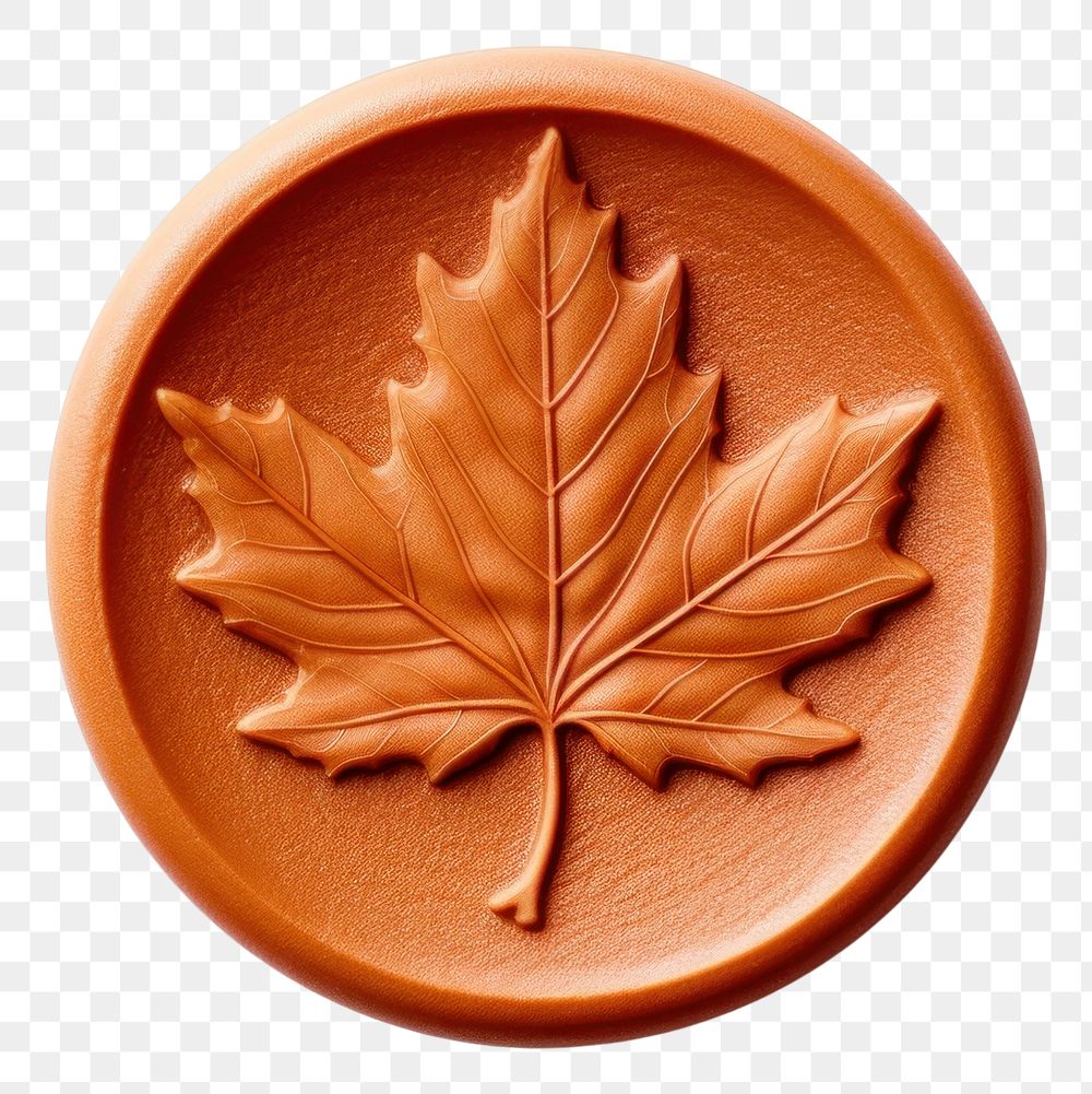 PNG  Maple leaf shape plant white background. AI generated Image by rawpixel.