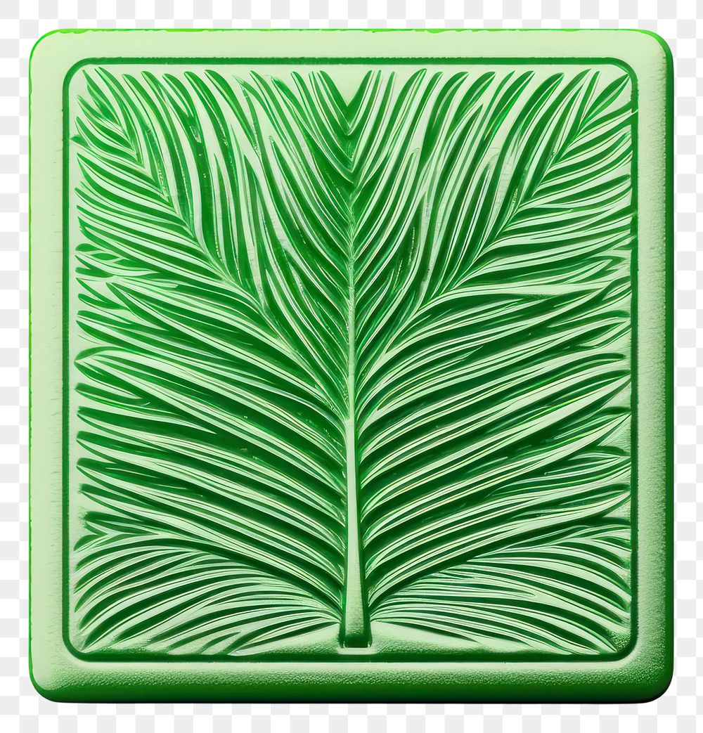 PNG Green pattern plant leaf. 