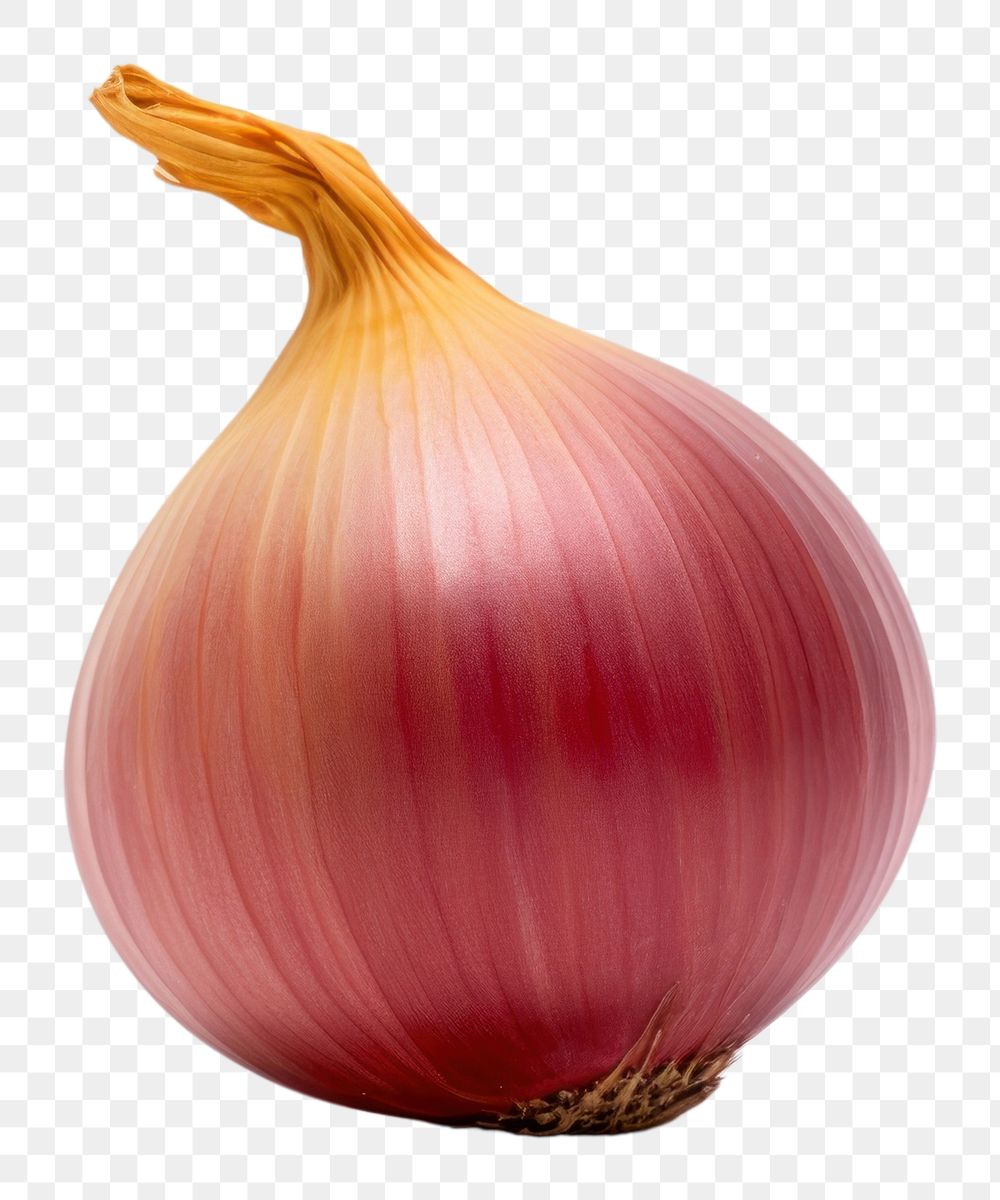 PNG Red and gold onion vegetable shallot plant.