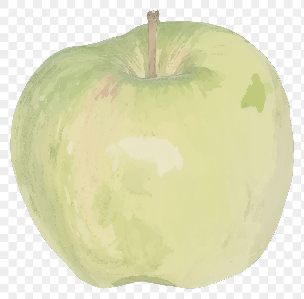 PNG Illustration of green apple fruit plant food.