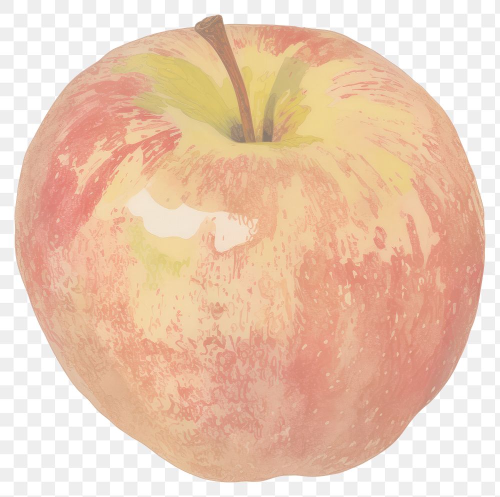 PNG Illustration of red apple fruit plant food.
