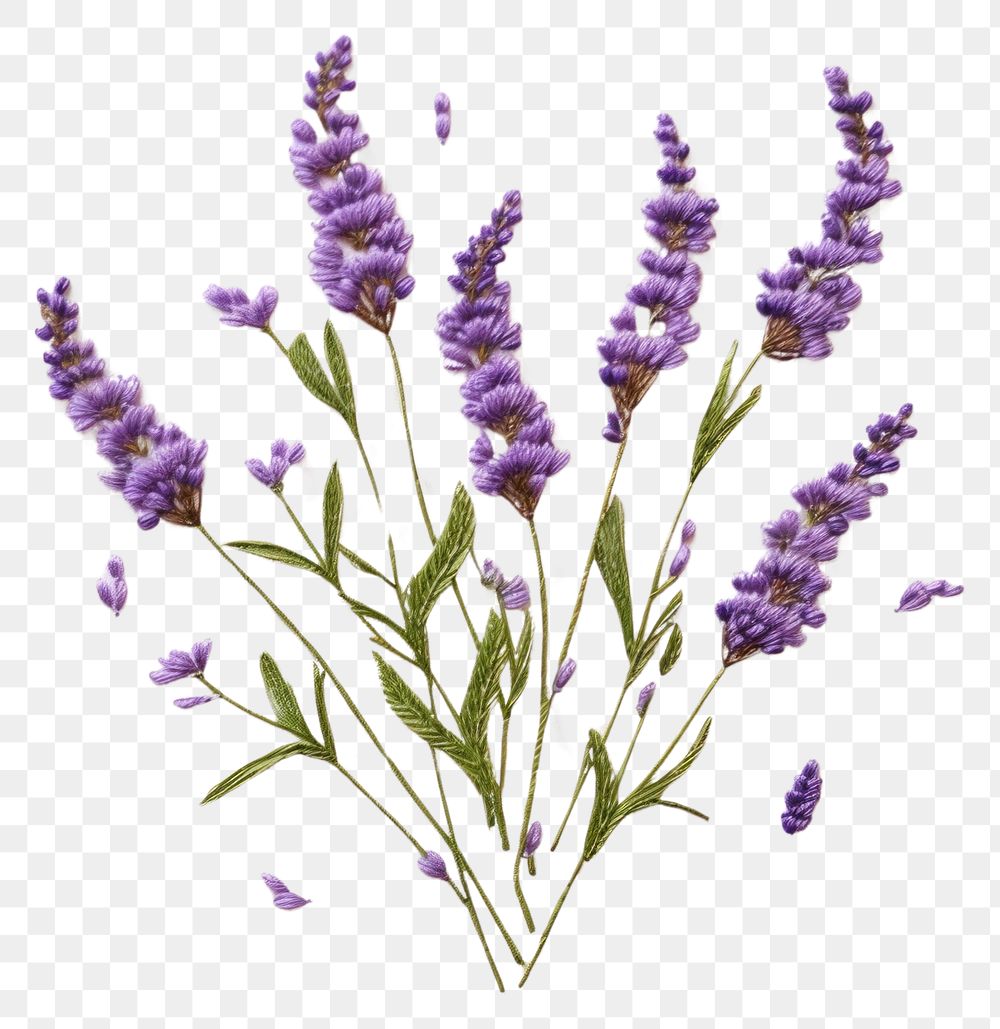 PNG Embroidery floral frame Lavender lavender