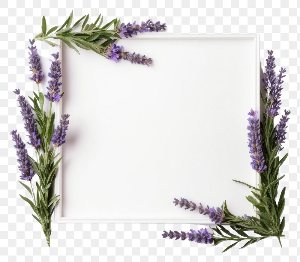 PNG Rectangle frame handmade floral Lavender.