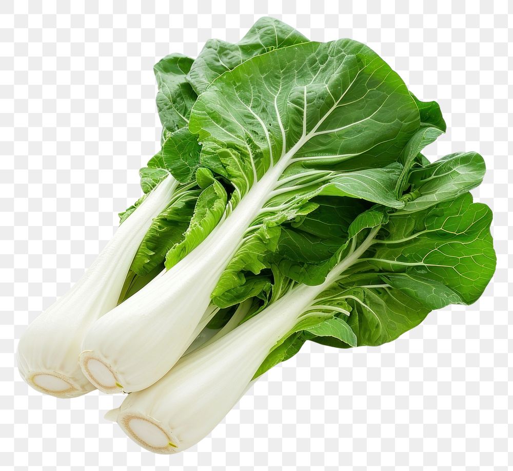 PNG Bok Choy vegetable food organic.