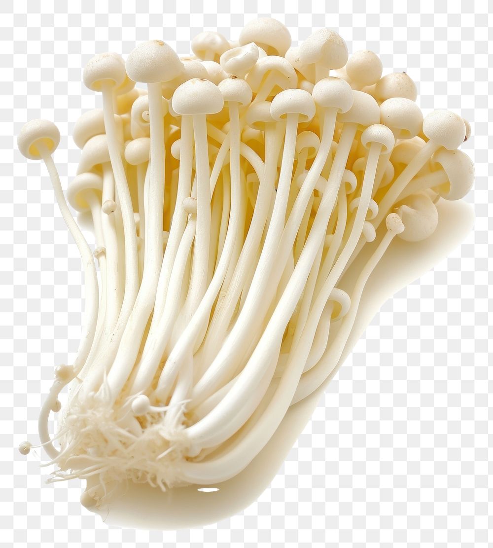 PNG Enoki Mushrooms mushroom vegetable fungus.