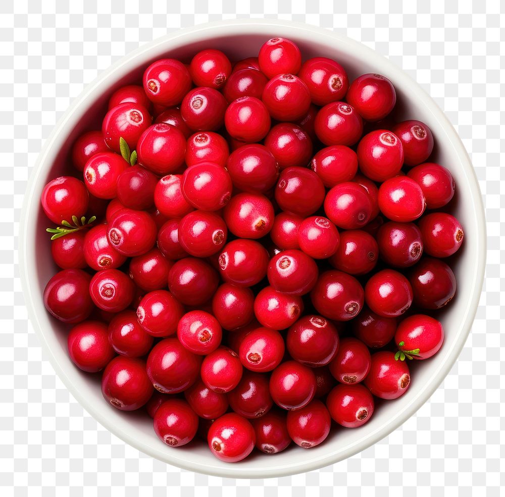 PNG Lingonberry fruit plant food. AI generated Image by rawpixel.