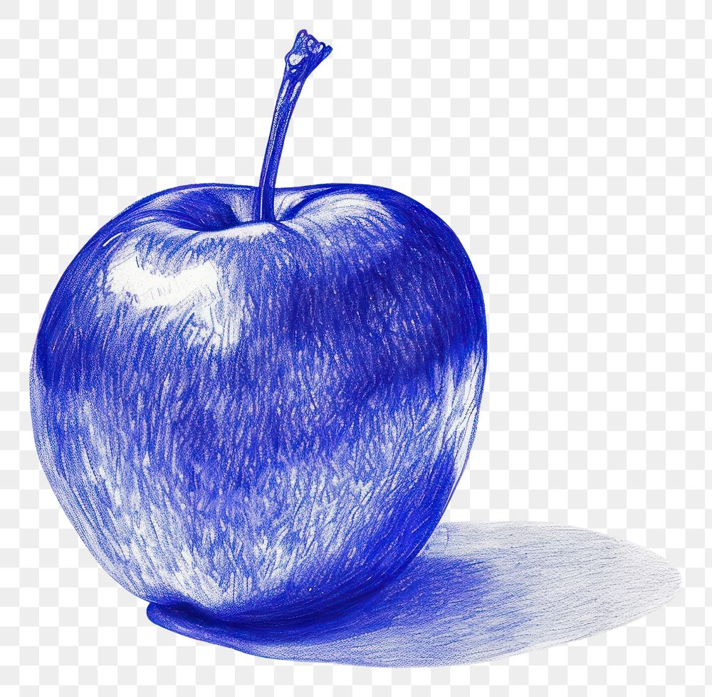 PNG  Drawing apple sketch fruit plant.