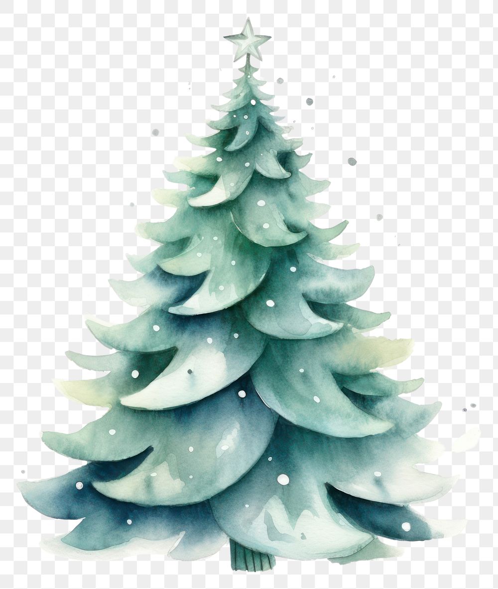 PNG  Christmas tree box in Watercolor style christmas plant white background.