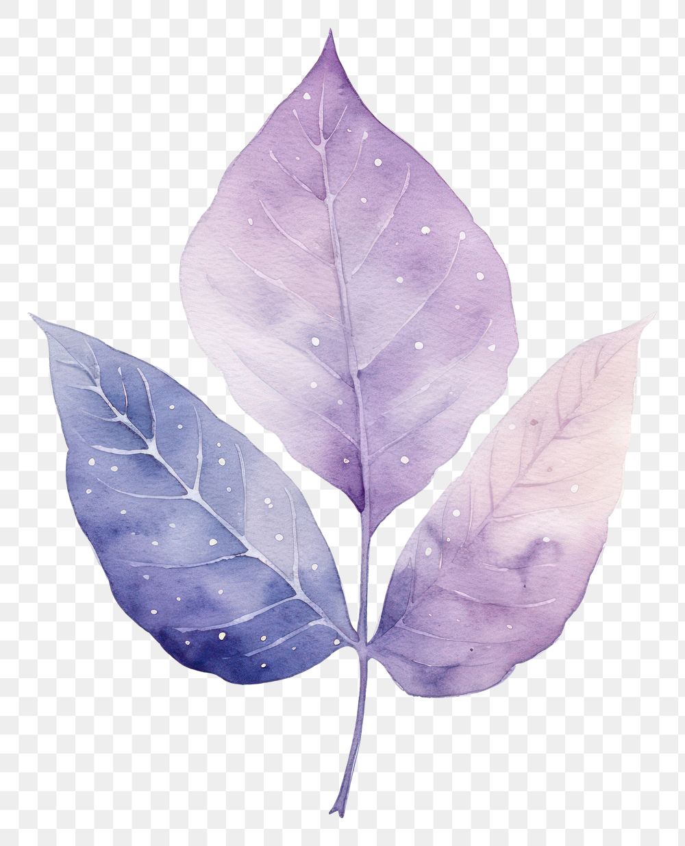 PNG  Leaf in Watercolor style plant white background creativity